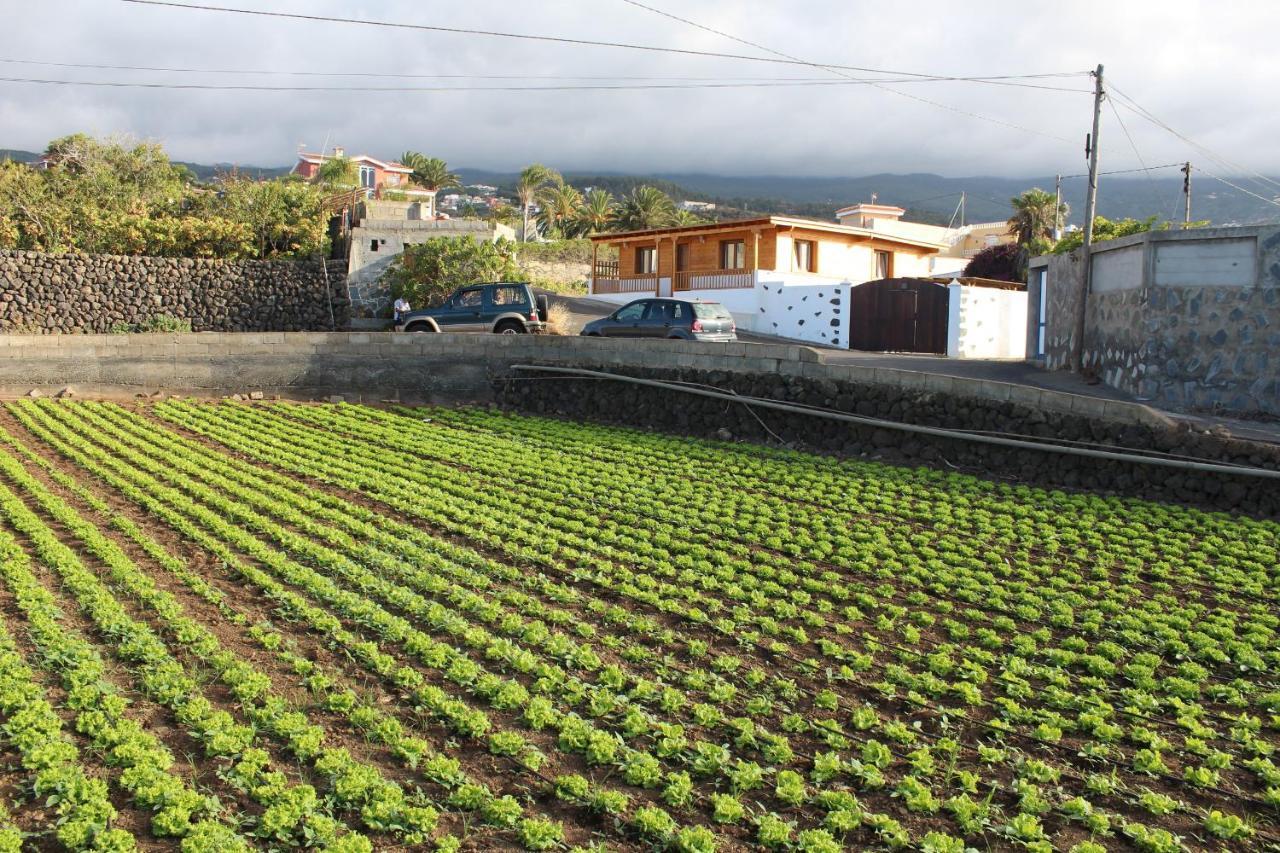 Chalet Las Viñas Icod De Los Vinos Exterior foto